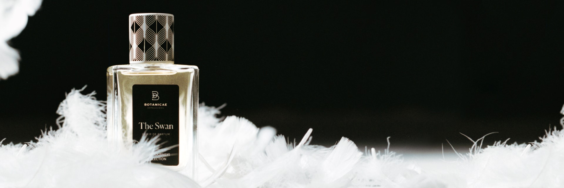 Banner campaña The Swan-v2