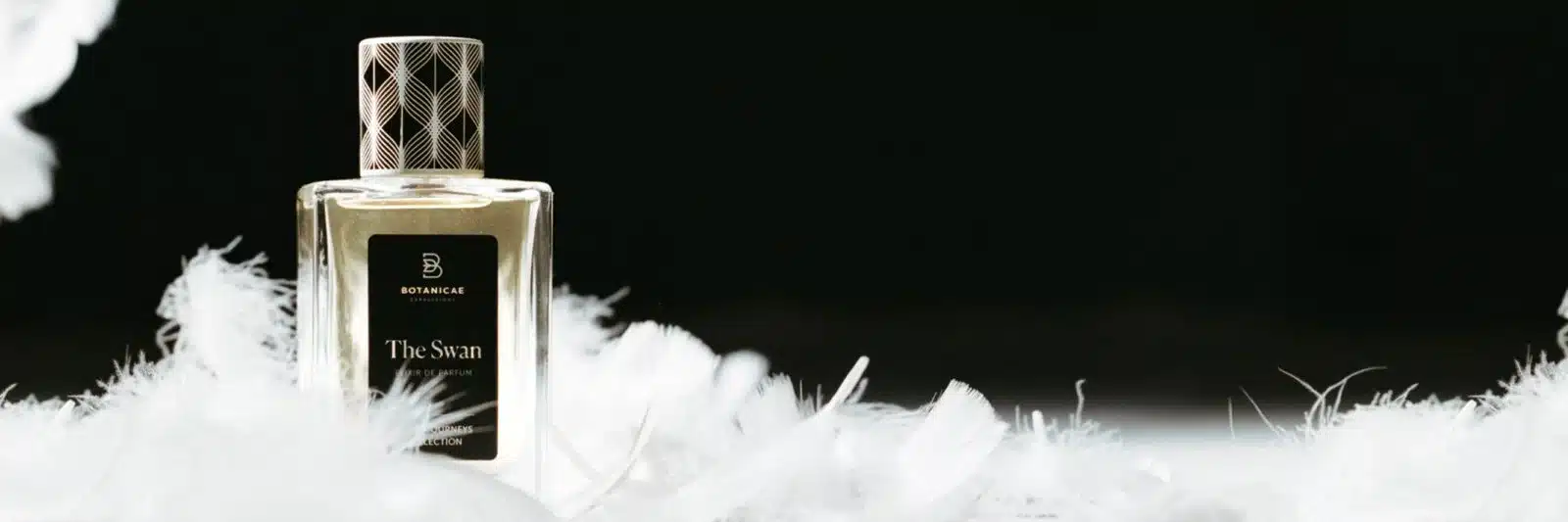 Banner-campana-The-Swan-v2